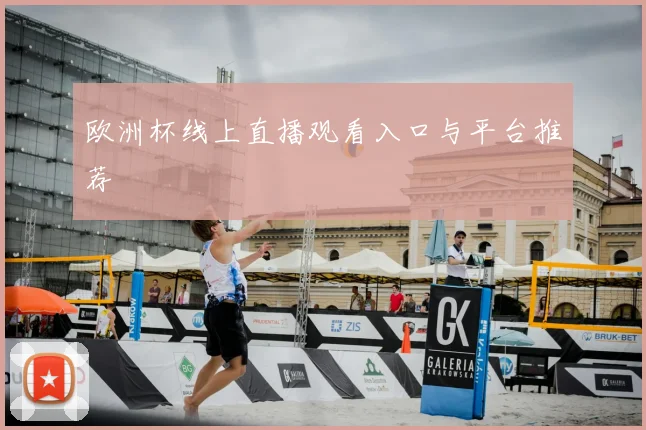 欧洲杯线上直播观看入口与平台推荐