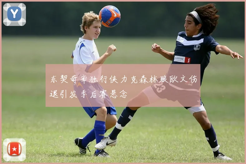 东契奇率独行侠力克森林狼欧文伤退引发季后赛悬念
