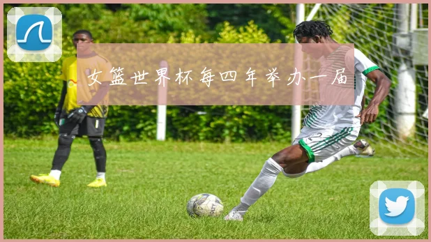 女篮世界杯每四年举办一届