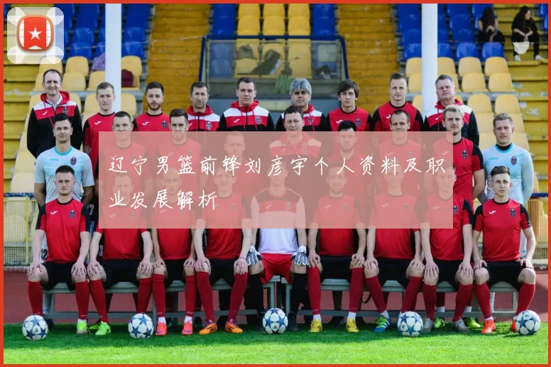 辽宁男篮前锋刘彦宇个人资料及职业发展解析