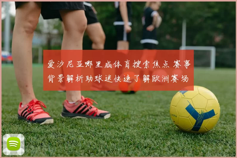 爱沙尼亚哪里成体育搜索焦点 赛事背景解析助球迷快速了解欧洲赛场