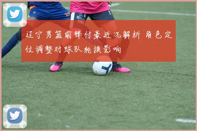 辽宁男篮前锋付豪近况解析 角色定位调整对球队轮换影响