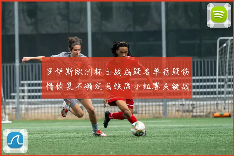 罗伊斯欧洲杯出战成疑名单存疑伤情恢复不确定或缺席小组赛关键战
